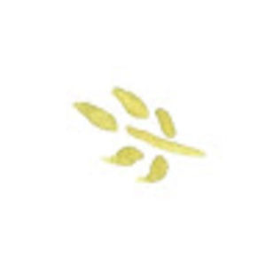 Meet your Posher, Chloe